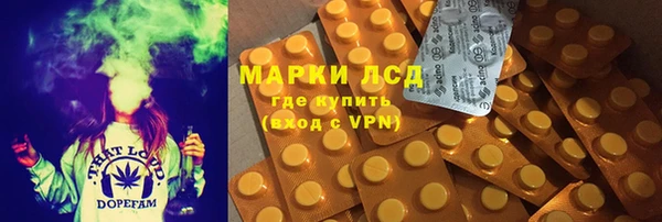 стаф Белокуриха