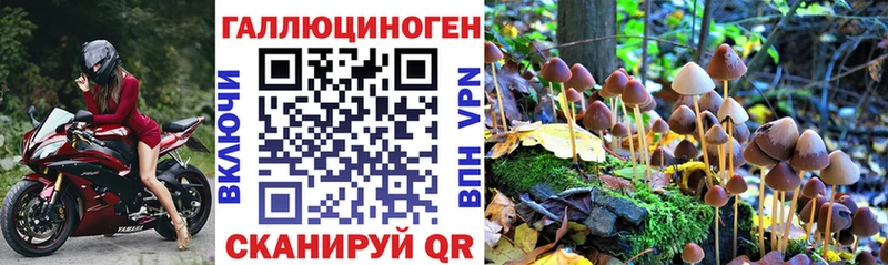 shop формула  Свободный  Псилоцибиновые грибы мухоморы 
